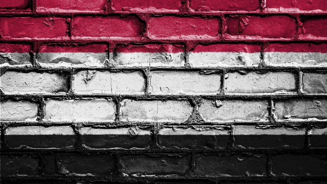 Política – Hacia un verdadero diálogo nacional: la situación actual en Yemen